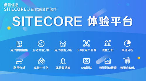 睿哲信息揭秘 荣登Gartner的Sitecore如何打造个性化购物体验